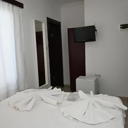 بنسيون ميليس 4*