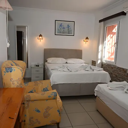 بيت ضيافة بنسيون ميليس