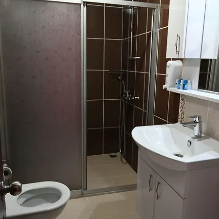 بنسيون ميليس