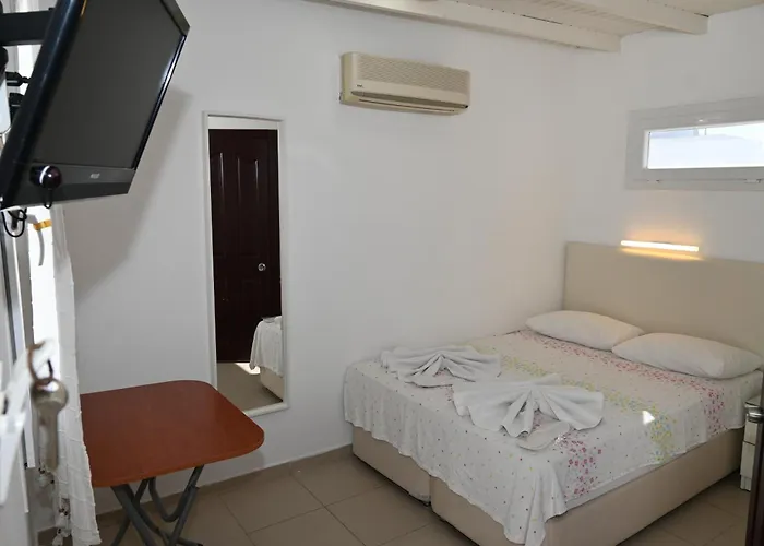 بنسيون ميليس 4* بودروم