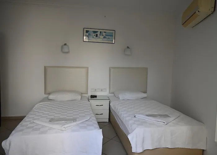 بنسيون ميليس 4* بودروم